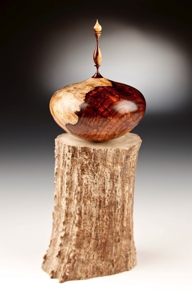 Cocobolo Burl