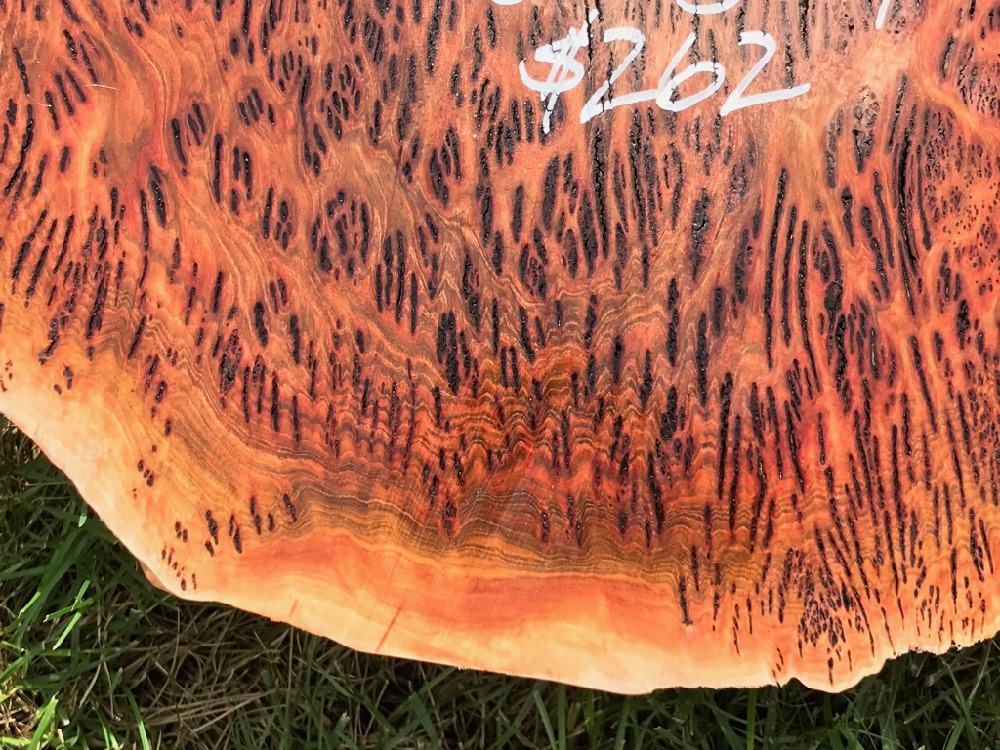 AustralianBurls.com - Gimlet Burl GIM-339 Macro