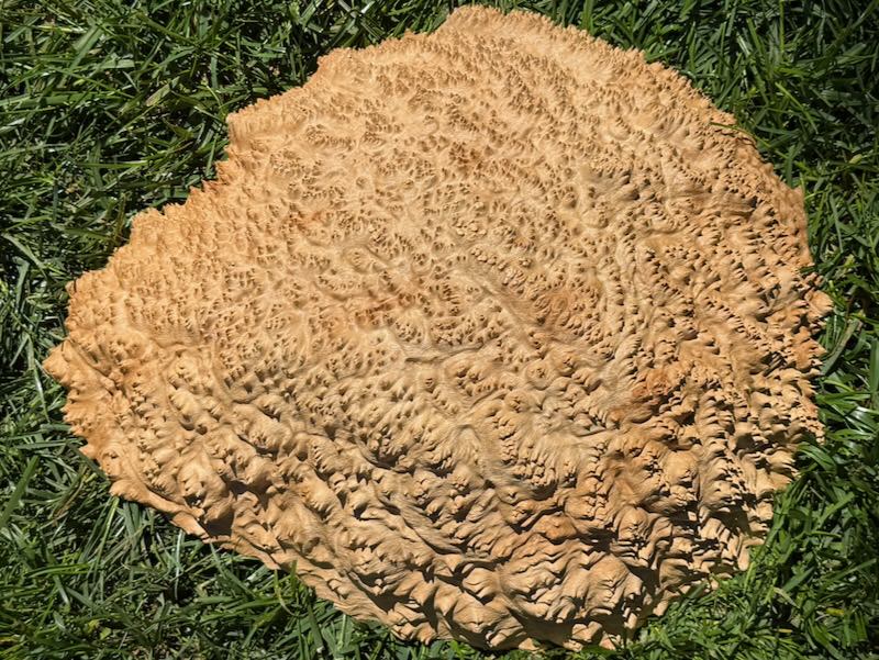 Stacks Image 10754