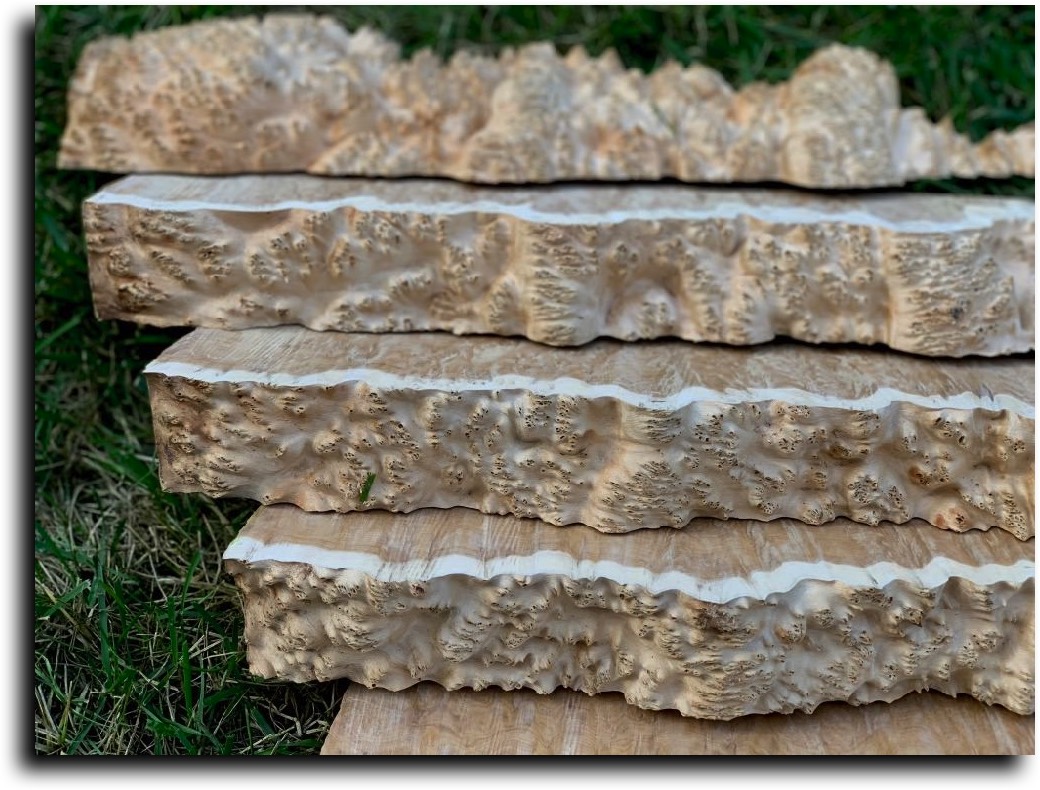 Stacks Image 6840
