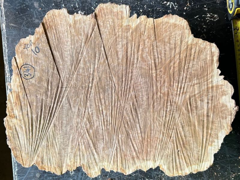 Stacks Image 31398