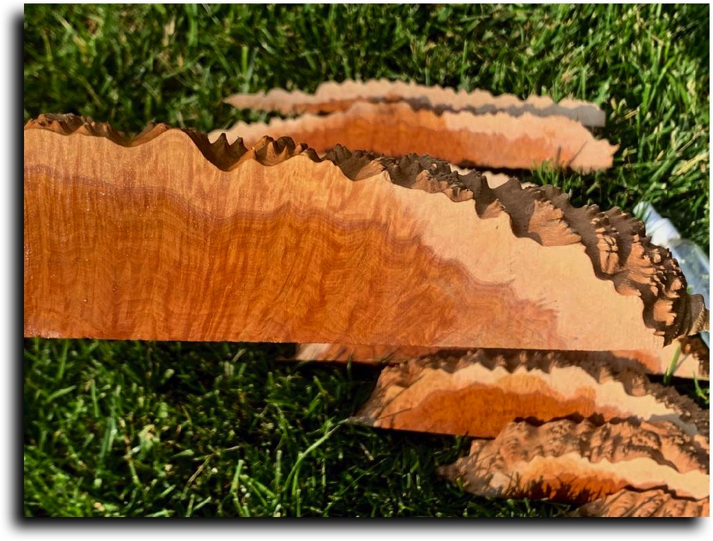 Strip Cut Burls