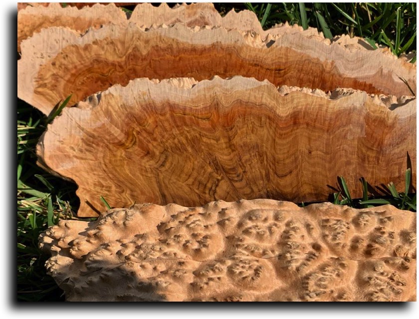 Strip Cut Burls