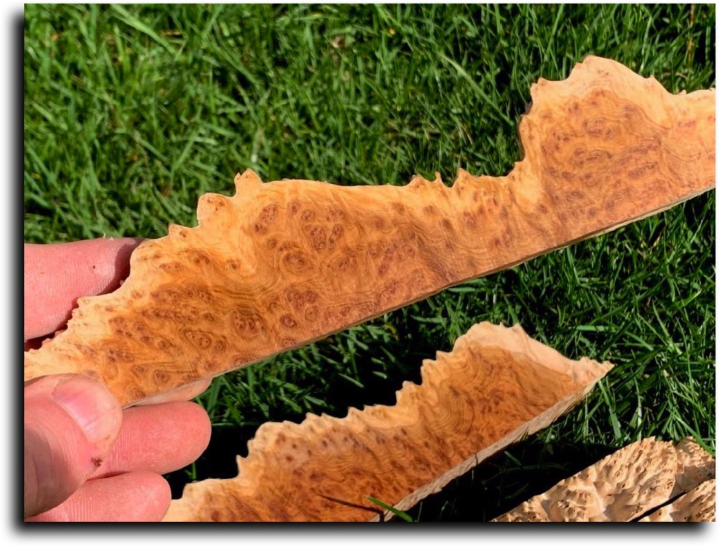 Strip Cut Burls