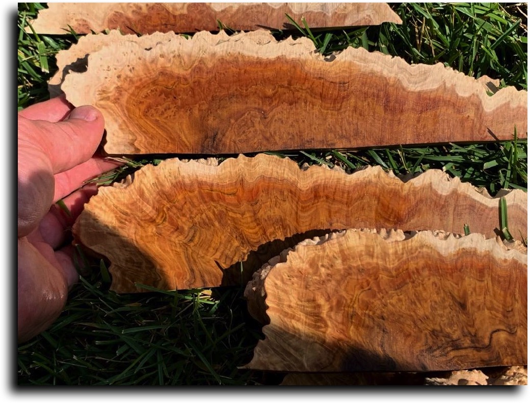 Strip Cut Burls